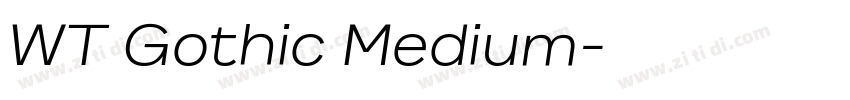 WT Gothic Medium字体转换